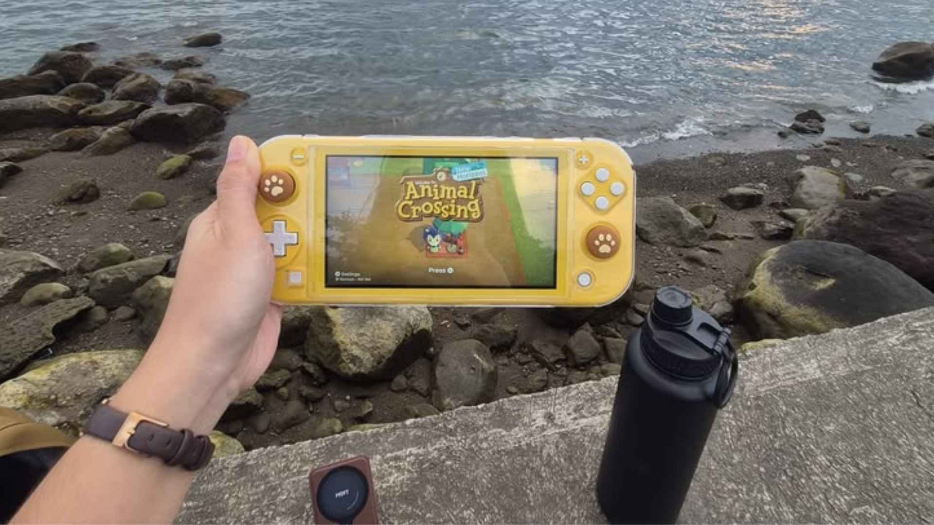 Wheel of Fortune Gameplay That Inspires New Players